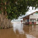 640px-Flooded_building_and_tree_trunk_in_the_muddy_water_of_the_Mekong_in_Si_Phan_Don,_Laos,_September_2019
